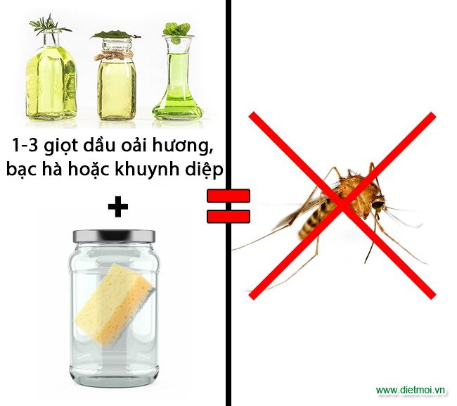 3 cách diệt côn trùng đơn giản tại nhà