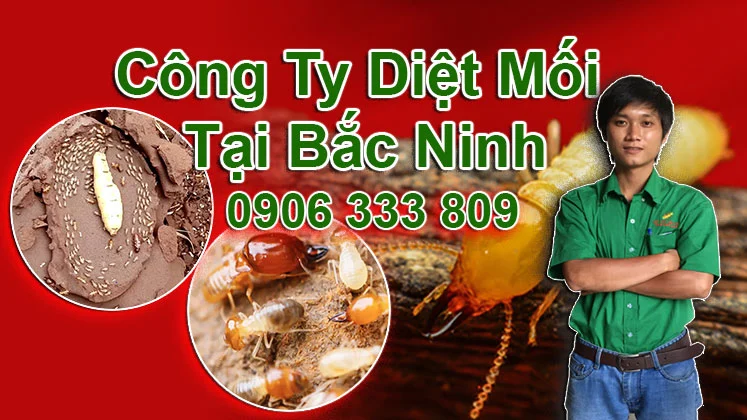 Diet moi tan goc tai Bac Ninh