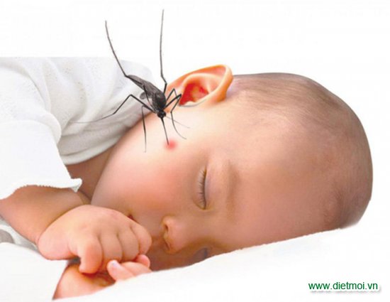 Muỗi Anophen gây ra bệnh sốt rét ở trẻ em
