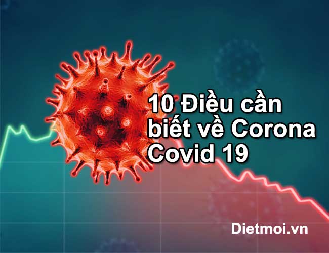10 Diều cần biết về Corona Covid 19