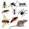 Dịch vụ diệt côn trùng ruồi, muỗi, kiến, gián uy tín tại hà nội